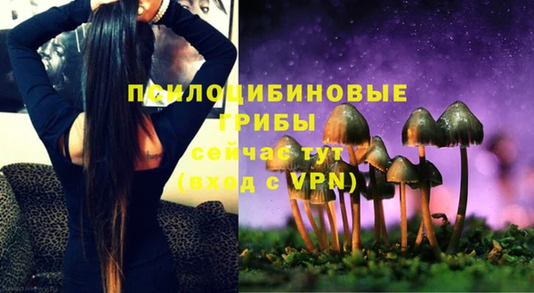 ПСИЛОЦИБИНОВЫЕ ГРИБЫ Покачи