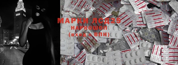ПСИЛОЦИБИНОВЫЕ ГРИБЫ Покачи
