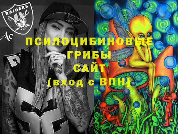 соль ск Покров