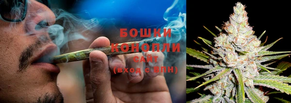 ПСИЛОЦИБИНОВЫЕ ГРИБЫ Покачи