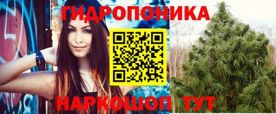 трава Кандалакша