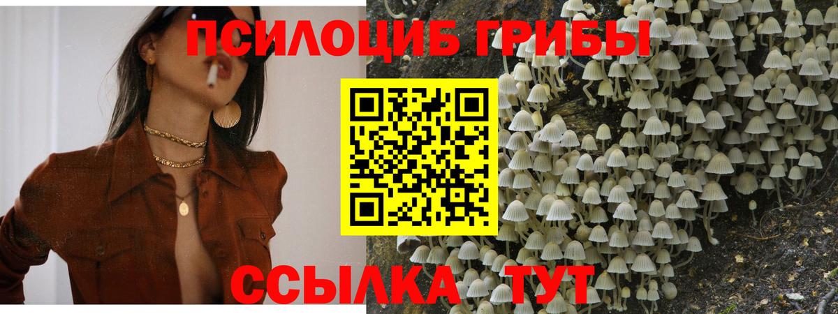 Псилоцибиновые грибы Magic Shrooms Киржач